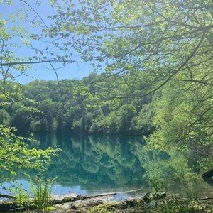 Meet your Posher, Liz